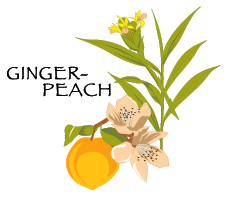 Ginger Peach