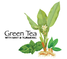 Green Tea with Turmeric & Mint