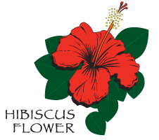 Hibiscus Flower